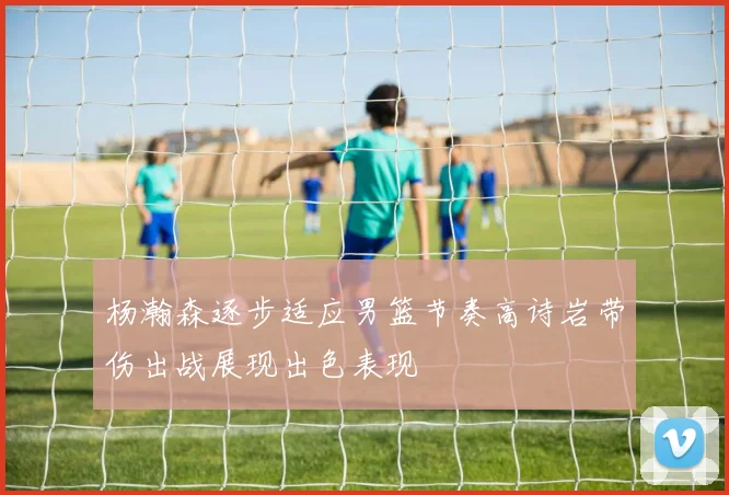 杨瀚森逐步适应男篮节奏高诗岩带伤出战展现出色表现